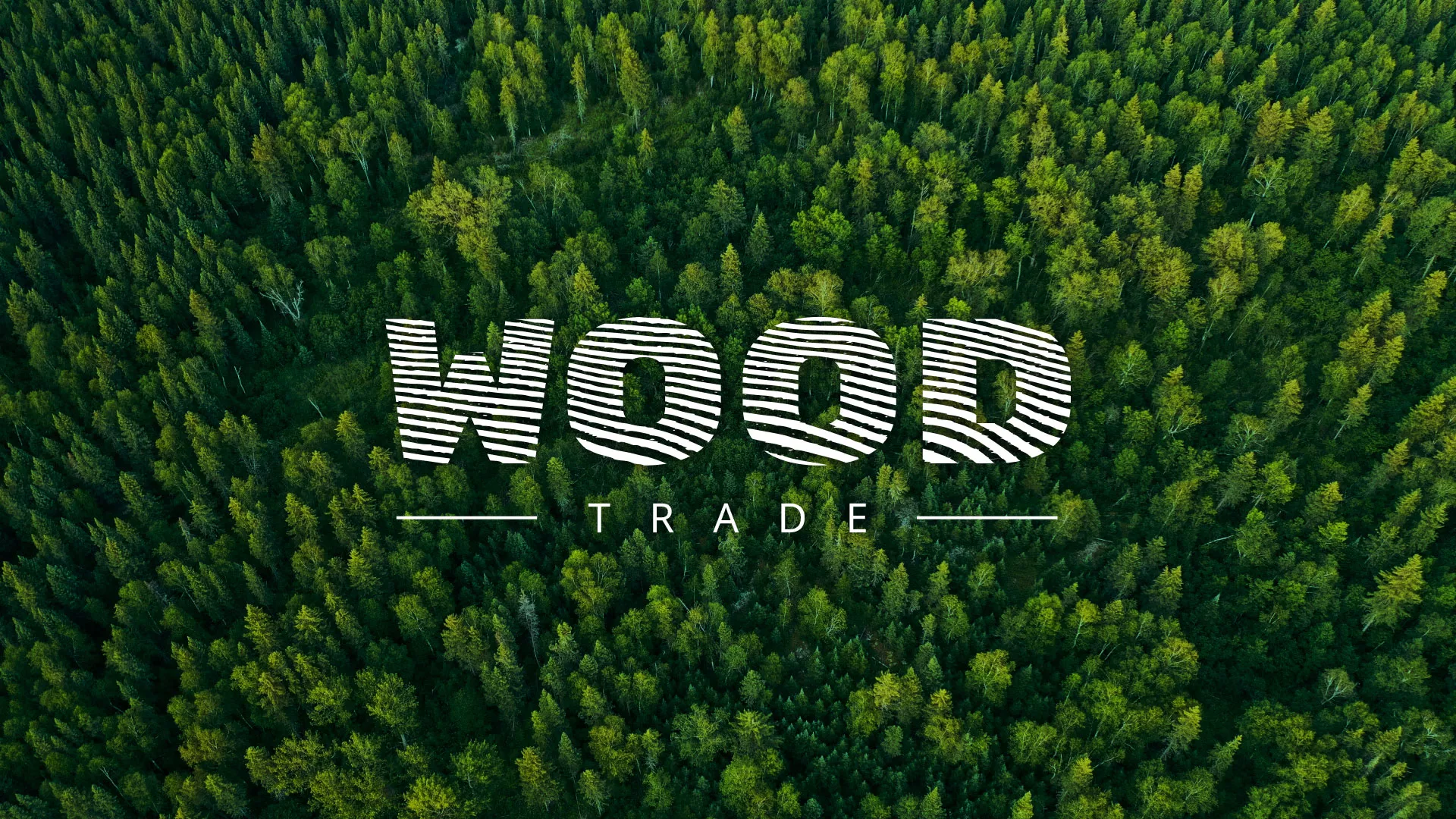 Разработка интернет-магазина компании «Wood Trade» в Воронеже